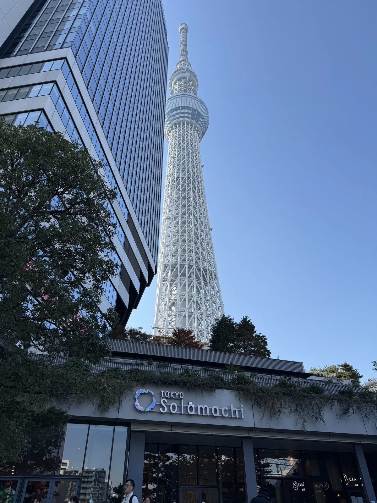 Tokyo Day 3: Family Mart Breakfast, Skytree, and Afternoon Tea