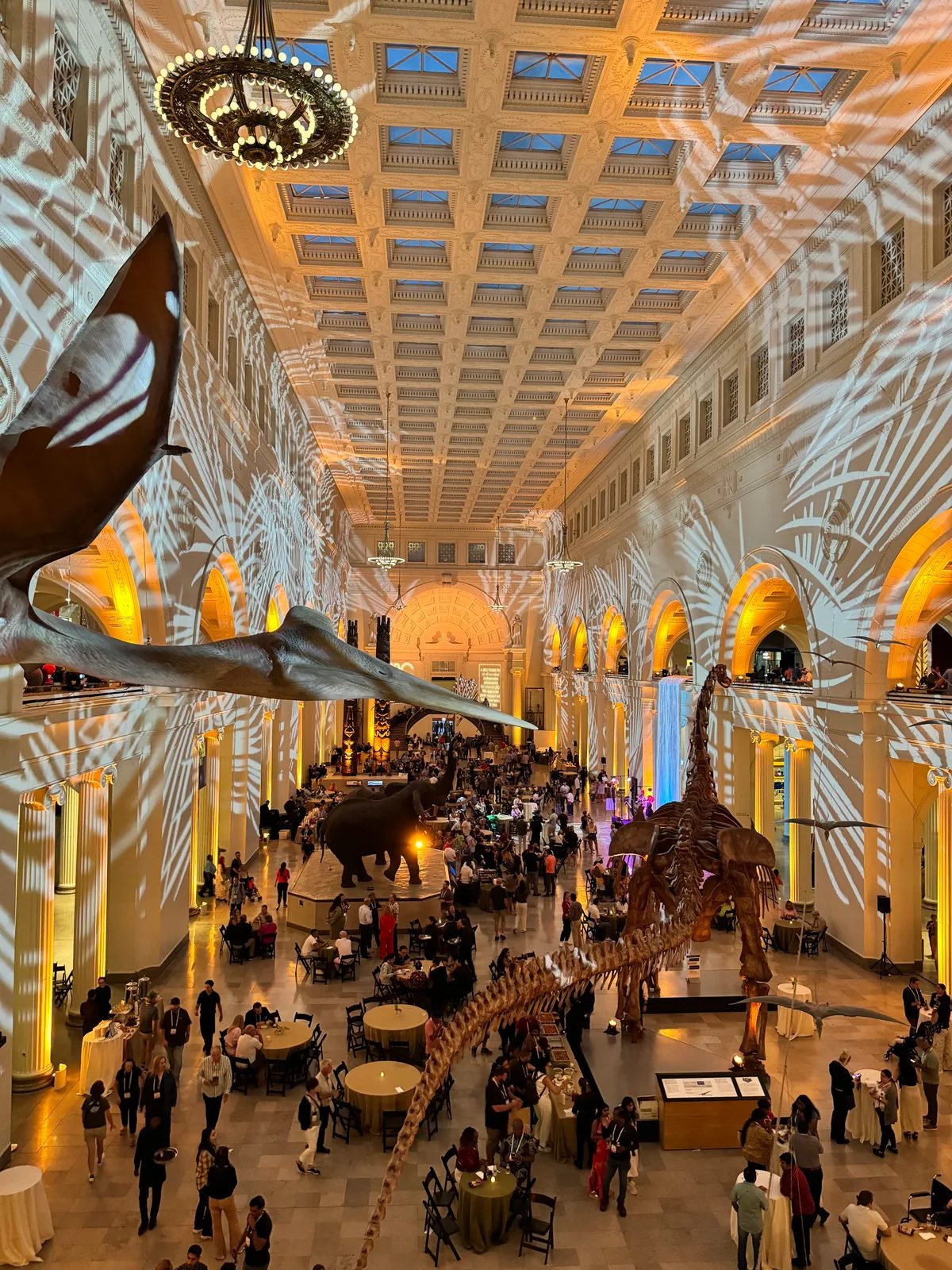 Grand hall of the Field Museum in Chicago, Illinois filled with people at a private evening event, with dinosaur and pterosaur skeletons illuminated by orange and blue lighting