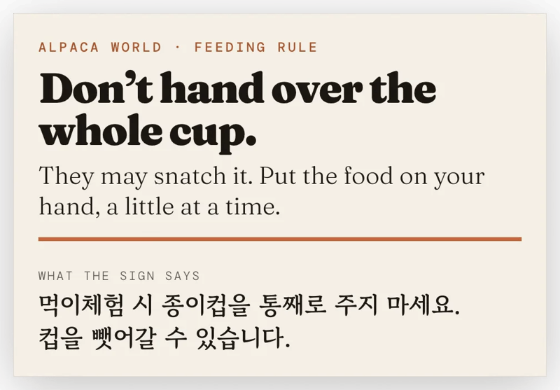 Card translating the yellow Korean sign at Alpaca World: don't hand over the whole cup, put the food on your hand a little at a time