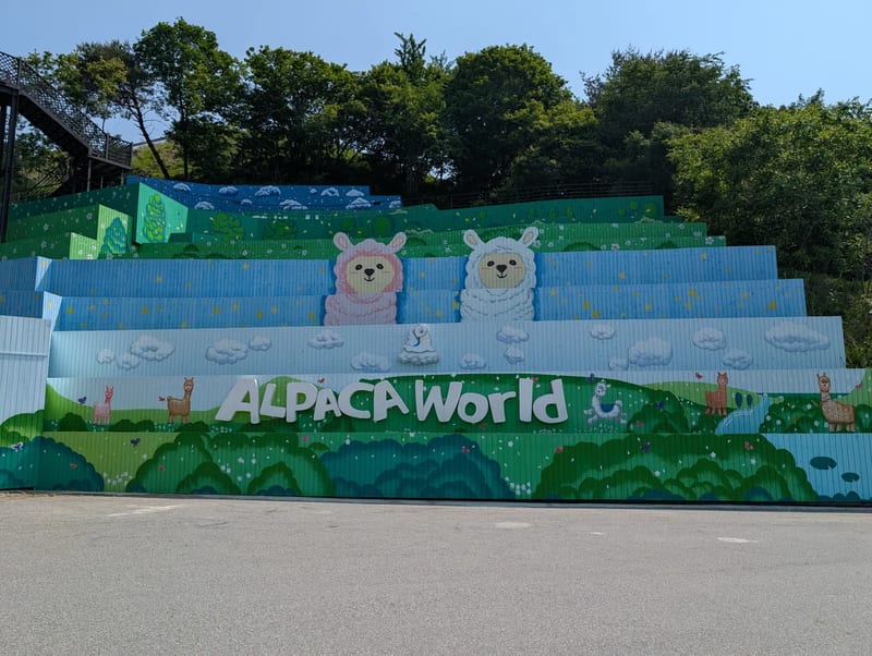 The painted Alpaca World mural near the entrance in Hongcheon, South Korea, with two cartoon alpacas above the green lettering ALPACA World