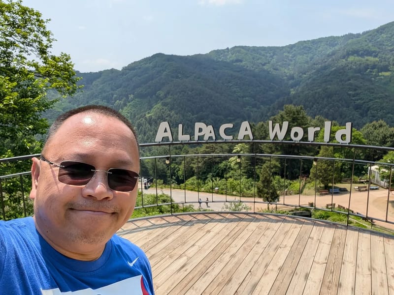 Sherwin taking a selfie on a wooden observation deck beneath the metal ALPACA World letters, with forested mountains behind, Hongcheon, South Korea