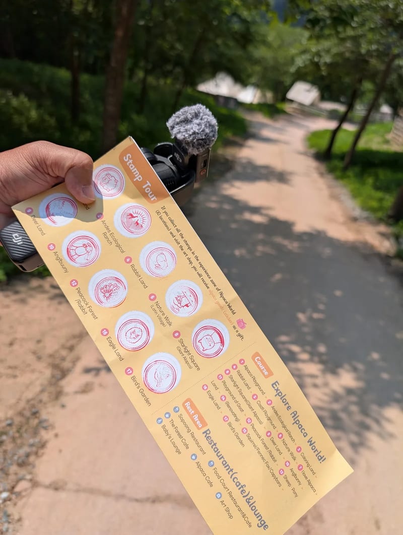 A hand holding the yellow Alpaca World stamp tour card with circular stamp spaces, on a dirt path in Hongcheon, South Korea