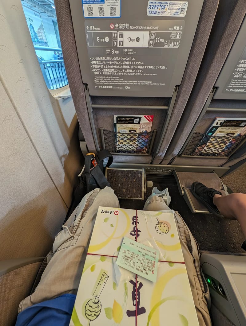 First-person view of an ekiben bento box resting on a lap in a Shinkansen train seat, Japan.