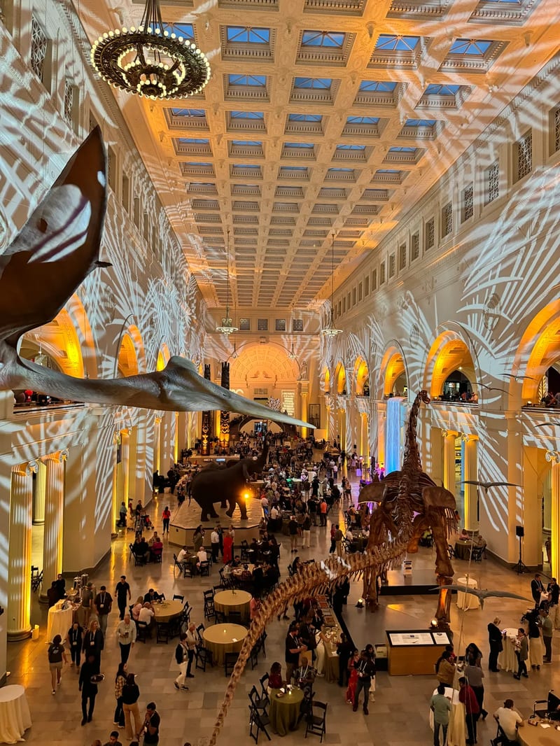 Grand hall of the Field Museum in Chicago, Illinois filled with people at a private evening event, with dinosaur and pterosaur skeletons illuminated by orange and blue lighting
