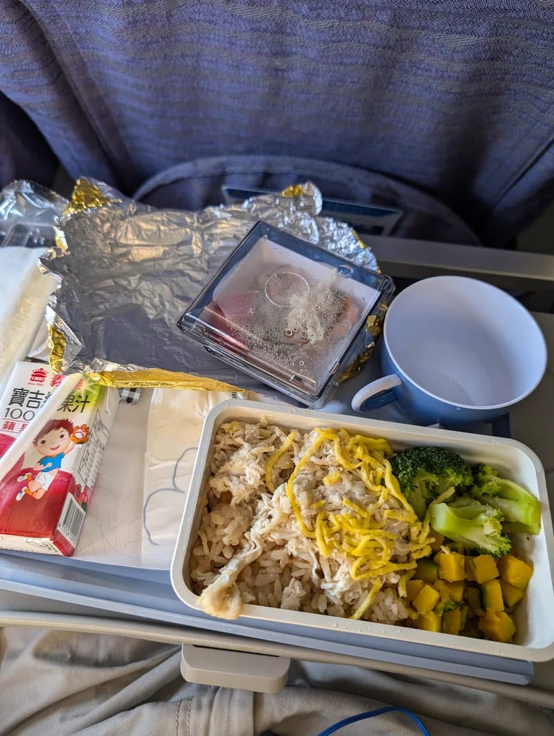 Airplane meal tray with shredded chicken, rice, broccoli, and a side salad on a seat-back tray table during the Manila to Taipei flight.