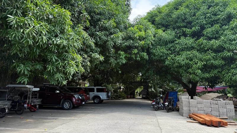 Plenty of parking under the mango trees Gravel parking lot shaded by mango trees with tricycles, motorbikes and SUVs