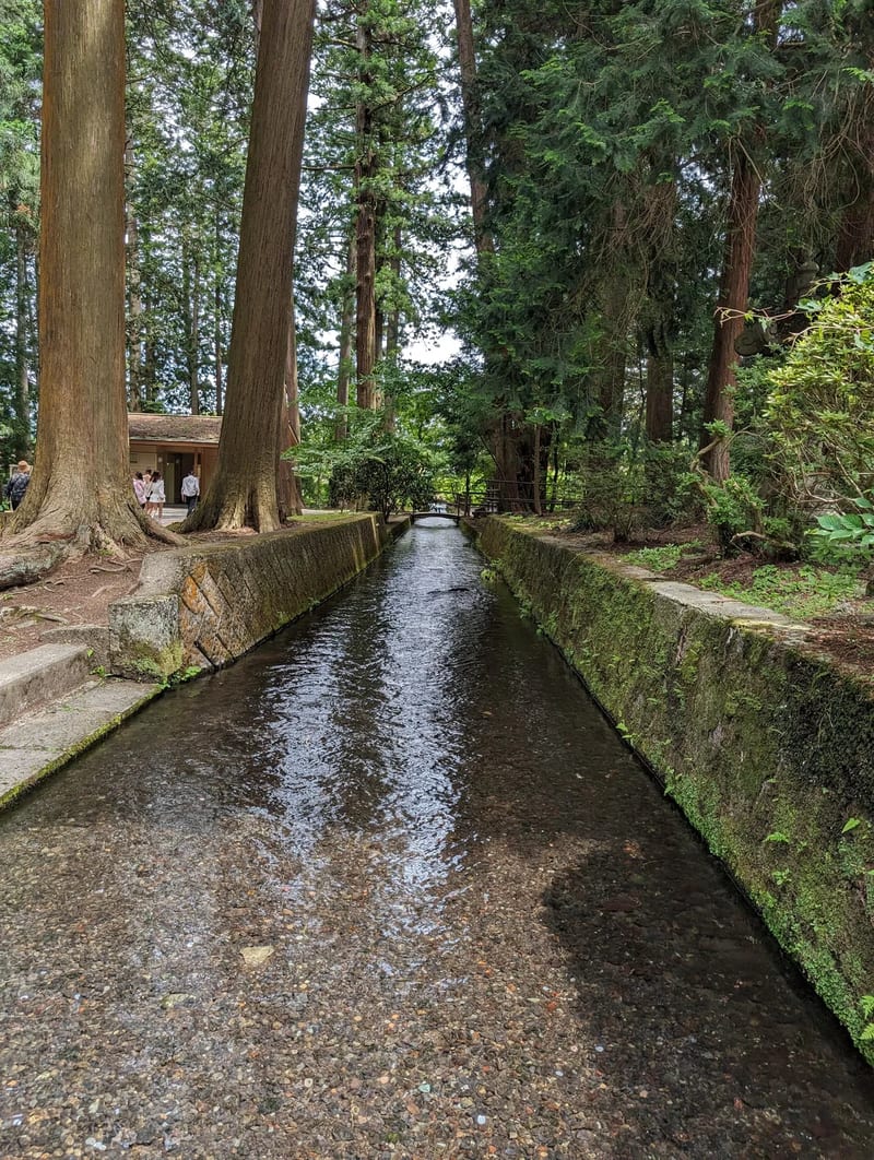 Stream flowing through the forested grounds of Fuji Sengen-Jinja Shrine, Fujiyoshida, Yamanashi, Japan.
