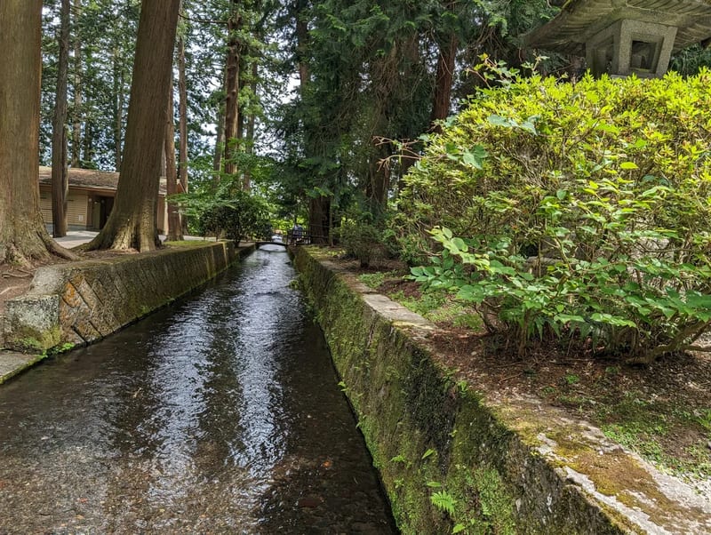 Stream and lush greenery in the forested grounds of Fuji Sengen-Jinja Shrine, Yamanashi, Japan.