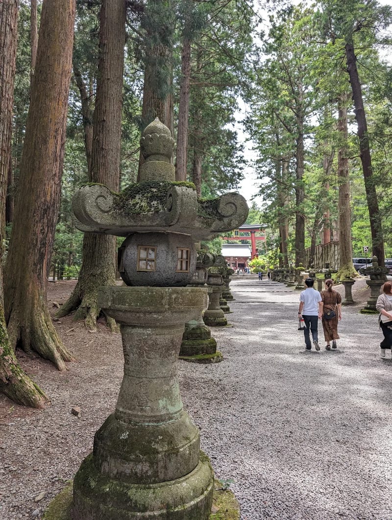Stone lantern on the path through tall cedar trees at Fuji Sengen-Jinja Shrine, Yamanashi, Japan.