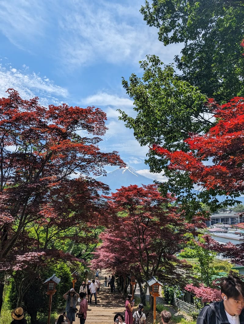 Mount Fuji with red and green maple trees and people on a path in Fujiyoshida, Yamanashi, Japan.