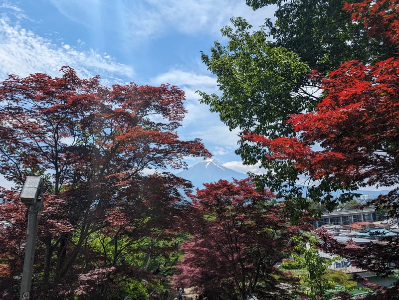 Mount Fuji framed by red and green maple trees with town below in Fujiyoshida, Yamanashi, Japan.