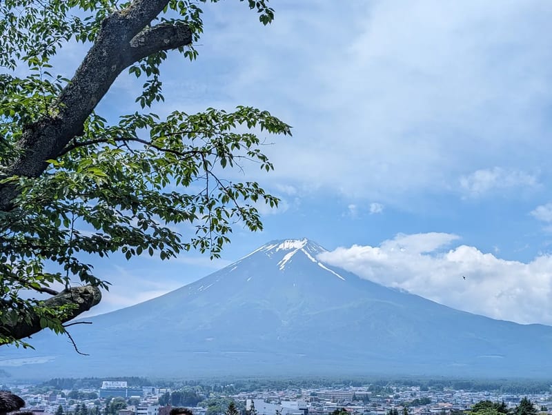 Mount Fuji snow-capped peak with tree branch in foreground overlooking Fujiyoshida town, Yamanashi, Japan.