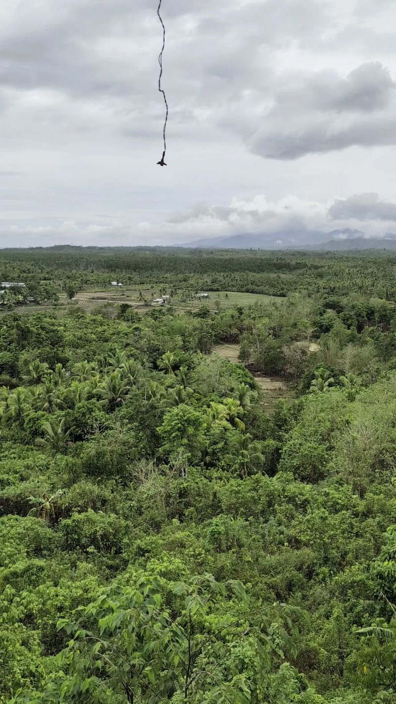 High-angle view of vast green tropical landscape with dense trees and distant mountains under a cloudy sky in Palawan Philippines